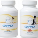 dog_companion